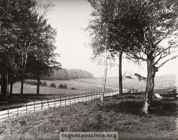 jg_17_100.jpg