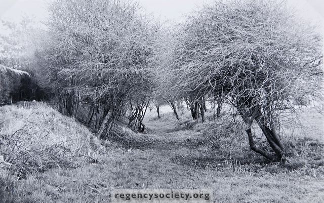 jg_37_146.jpg